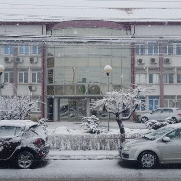 Video | Pericolul apariției gripei aviare în județul Maramureș, situația este sub control Video | Pericolul apariției gripei aviare în județul Maramureș, situația este sub control