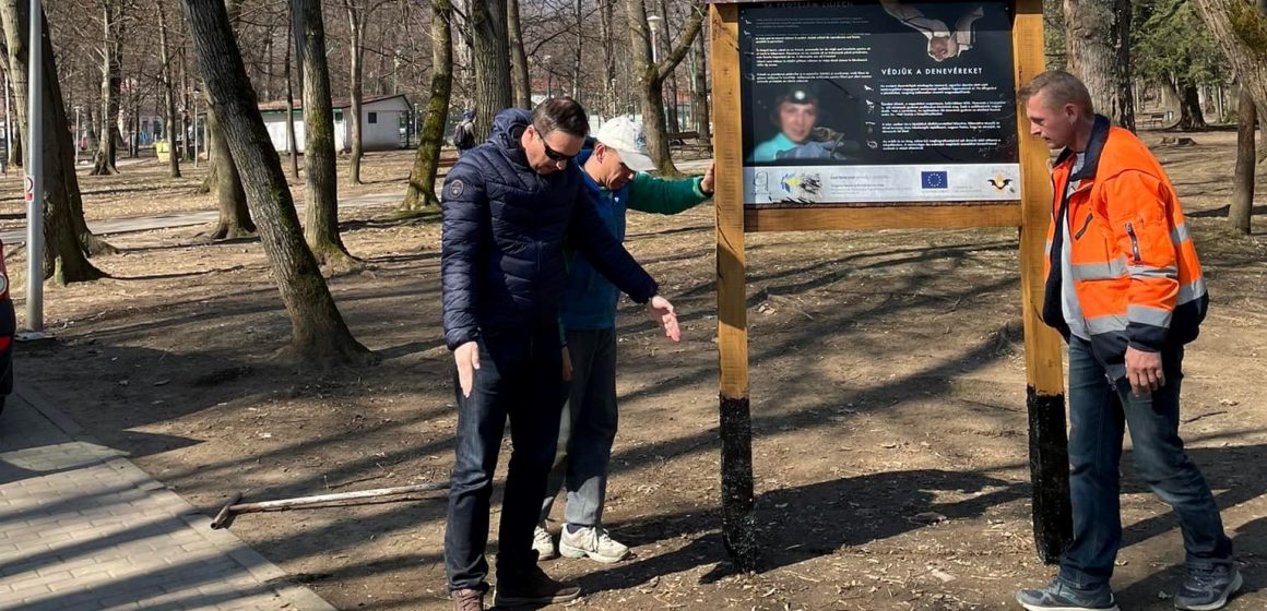 În Parcul Regina Maria din Baia Mare s-a început montarea de adăposturi artificiale pentru lilieci