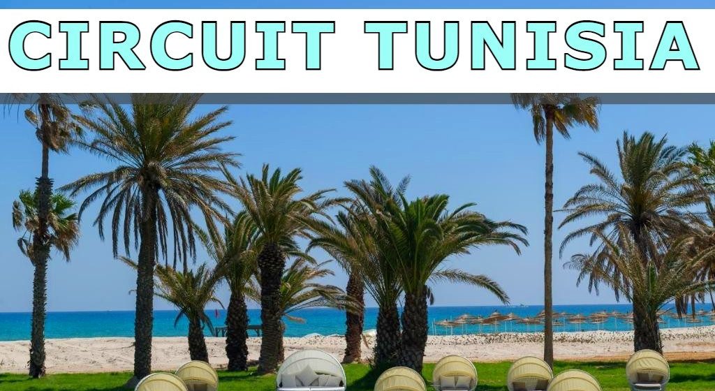 Descoperă farmecul Tunisiei într-un circuit de 7 zile! Descoperă farmecul Tunisiei într-un circuit de 7 zile!