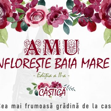 AMU înflorește Baia Mare! – se premiază cea mai frumoasă grădină de la casă sau de la bloc
