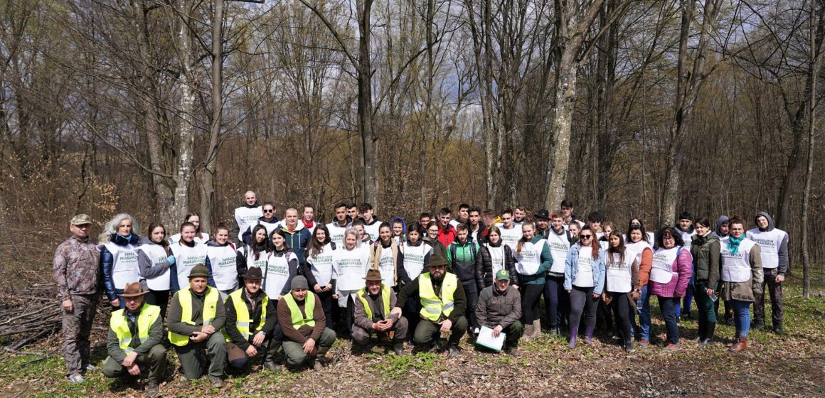 Galerie foto | O nouă etapă a campaniei ”Împădurim Maramureșul” a avut loc ieri, în Țara Lăpușului