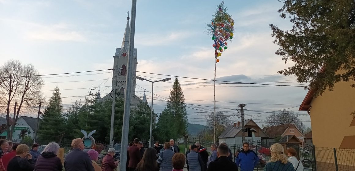 Pomul de mai și serenada de mai, o tradiție vie la Câmpulung la Tisa