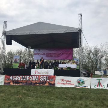 La Festivalul Internațional Ecvestru Mireșu Mare au fost peste 400 de cai