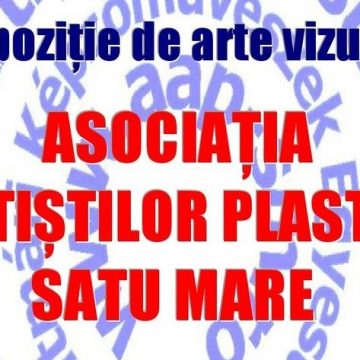 Video | Asociația Artiștilor Plastici Satu Mare va expune în Baia Mare