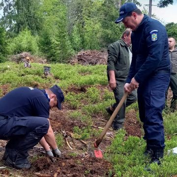 Video | Acțiune de plantare de puieți a jandarmilor