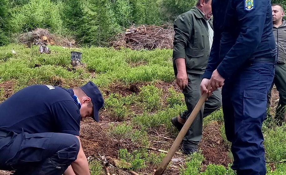 Video | Acțiune de plantare de puieți a jandarmilor