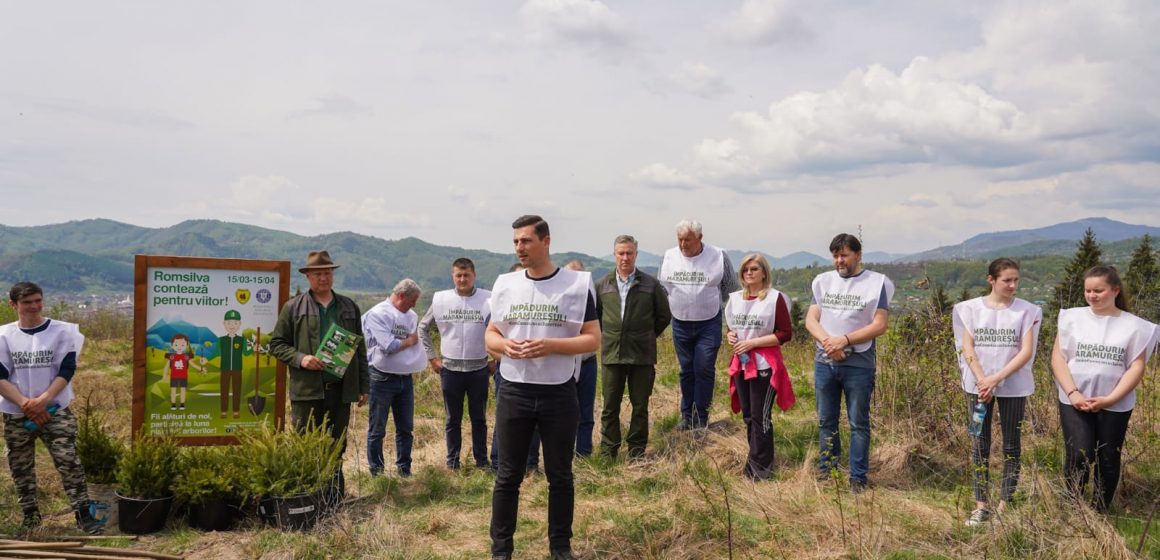 Prin campania ”Împădurim Maramureșul”, echipa Consiliului Județean Maramureș a plantat peste 50.000 de copaci în județ