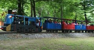 În luna iunie copiii din Baia Mare vor putea circula gratuit cu trenulețul din Parcul Municipal Regina Maria