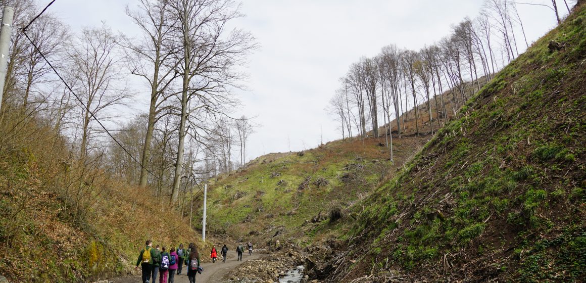 ADIGIDM Maramureș împreună cu Greenys vă propune o activitate de destindere și ecologizare