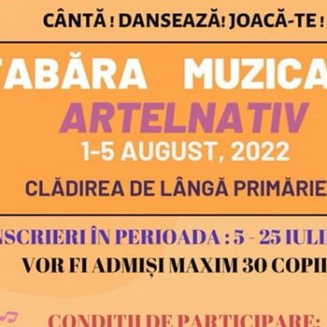Liceul Tehnologic de Transport Auto din Baia Sprie organizează tabără muzicală