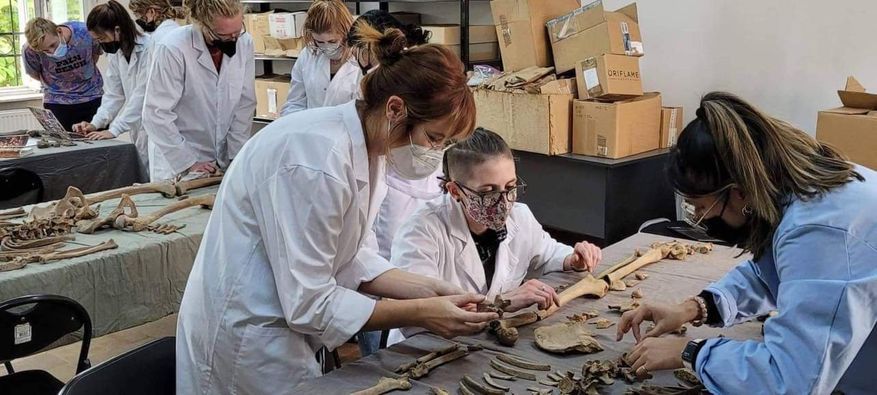 Bioarheologie la Baia Mare – Rivulus Dominarum Bioarheologie la Baia Mare – Rivulus Dominarum