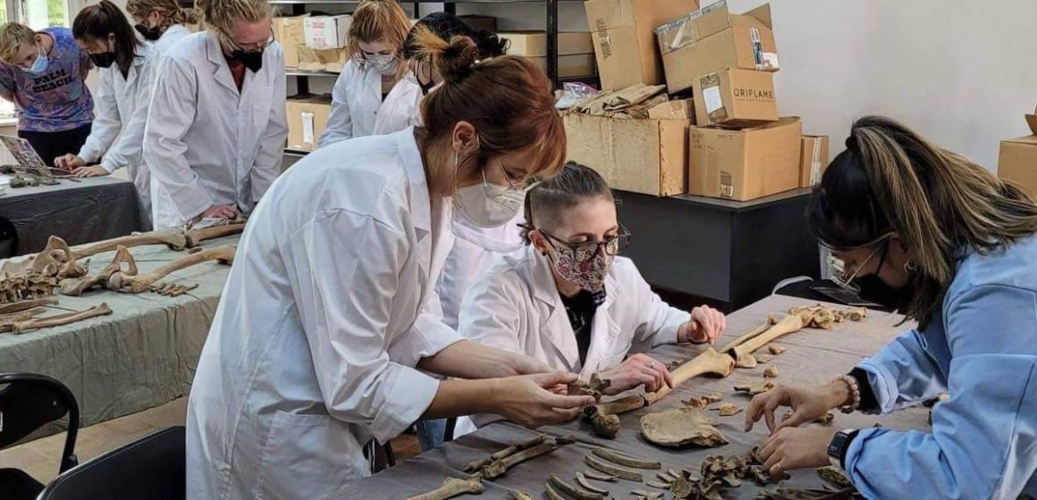 Conferință la Muzeul de Istorie – ”Bioarheologie la Baia Mare/Rivulus Dominarumˮ