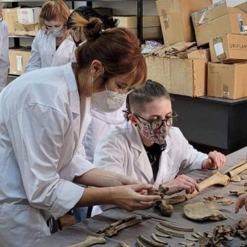 Conferință la Muzeul de Istorie – ”Bioarheologie la Baia Mare/Rivulus Dominarumˮ