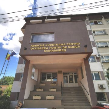 Video | AJOFM Maramureș: 235 de locuri de muncă vacante în Maramureș