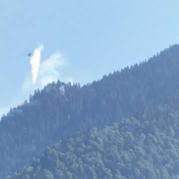 Video | Incendiu de fond forestier pe Valea Vișeului