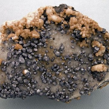 Un eșantion provenit din Mina Cavnic este exponatul săptămânii la Muzeul de Mineralogie