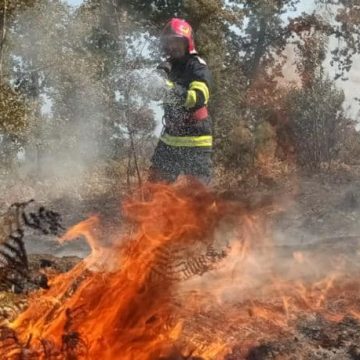 POIENILE DE SUB MUNTE: Incendiu de vegetație POIENILE DE SUB MUNTE: Incendiu de vegetație