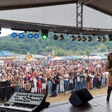 Zilele Vișeului