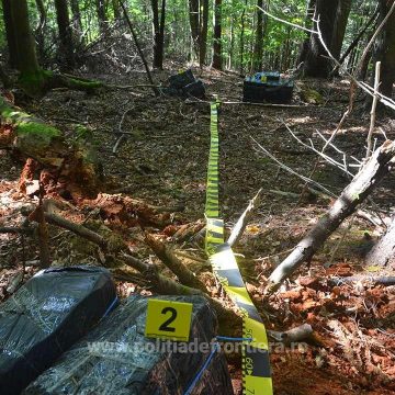 Contrabandă cu împușcături Contrabandă cu împușcături