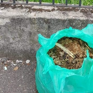 ADI Deșeuri: Reguli pentru colectarea deșeurilor vegetale în Baia Mare