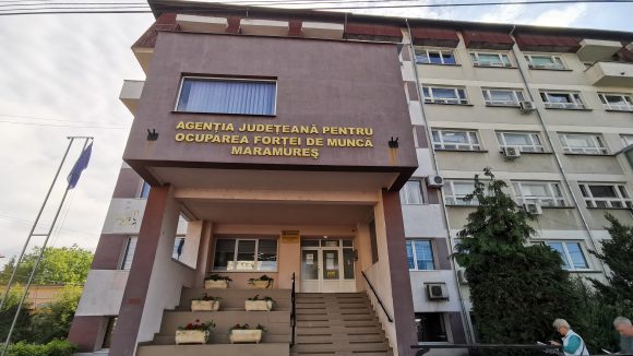 VIDEO: 35% din cei care au absolvit cursuri de formare profesională organizate de AJOFM s-au angajat în domeniul pentru care s-au pregătit