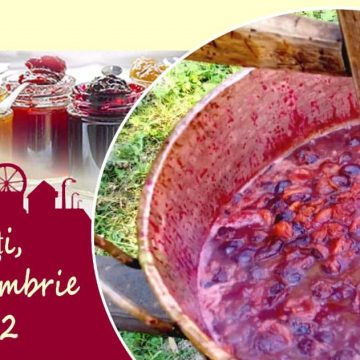 Invitație la Muzeul Satului la prepararea silvoiței Invitație la Muzeul Satului la prepararea silvoiței