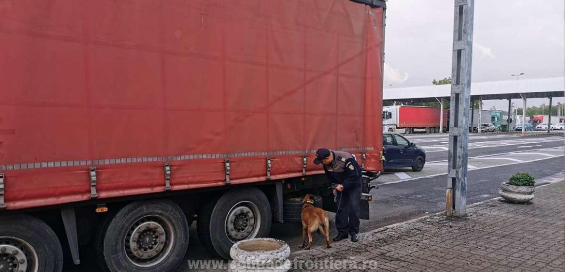 Video | Maramureșean prins la graniță cu aproape 7.000 de pachete cu țigări de contrabandă