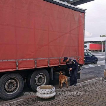 Video | Maramureșean prins la graniță cu aproape 7.000 de pachete cu țigări de contrabandă