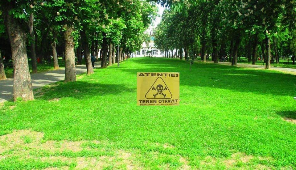 Deratizare împotriva rozătoarelor pe raza orașului Baia Mare Deratizare împotriva rozătoarelor pe raza orașului Baia Mare