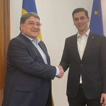 Ionel Bogdan a discutat cu ambasadorul României în Austria despre popularea parcurilor industriale în lucru