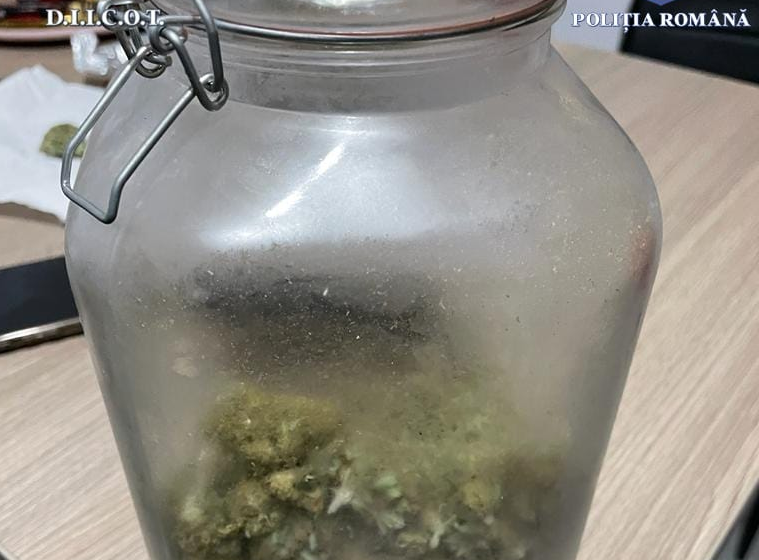 Suspecți bănuiți de trafic de droguri reținuți în urma unor percheziții în Baia Mare Suspecți bănuiți de trafic de droguri reținuți în urma unor percheziții în Baia Mare