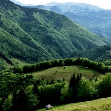 Agenția Națională a Zonei Montane a lansat pentru zona montană trei programe de sprijin Agenția Națională a Zonei Montane a lansat pentru zona montană trei programe de sprijin