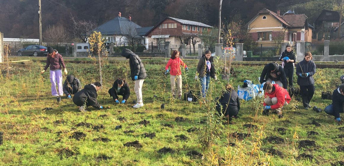 Pap Zsolt István: Astăzi a avut loc o nouă acțiune de plantare din cadrul proiectului SPIRE