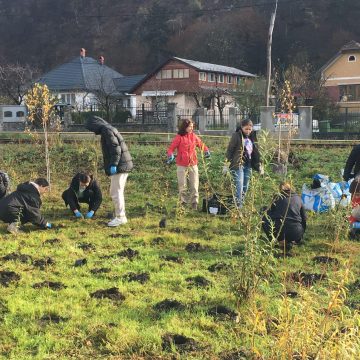 Pap Zsolt István: Astăzi a avut loc o nouă acțiune de plantare din cadrul proiectului SPIRE Pap Zsolt István: Astăzi a avut loc o nouă acțiune de plantare din cadrul proiectului SPIRE