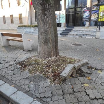 Bogdan Gavra: Nepăsarea care provoacă accidente – pavaje deteriorate