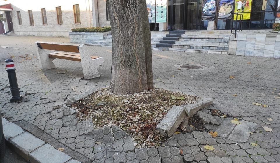 Bogdan Gavra: Nepăsarea care provoacă accidente – pavaje deteriorate