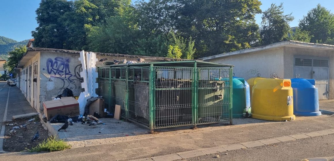 ADIGIDM Maramureș: Frecvența de ridicare a deșeurilor reziduale de la punctele de colectare comune din Baia Mare nu se justifică