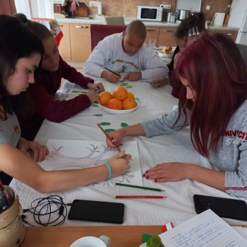 Copiii și tinerii din casele de tip familial aflate în subordinea DGASPC Maramureș au marcat prin activități specifice Ziua Internațională a Drepturilor Copilului