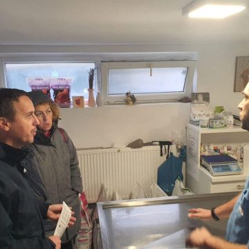 Programul de acordare a unei subvenţii pentru sterilizarea câinilor continuă în Baia Mare