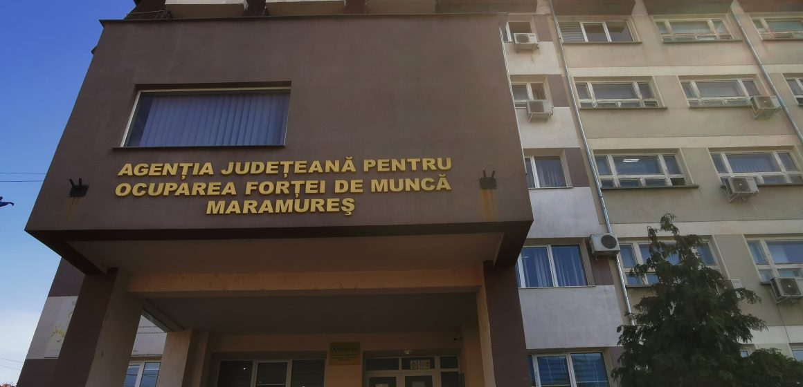 Video | Sunt disponibile 521 locuri de muncă pentru șomerii maramureșeni