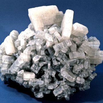 O ”floare” specială, exponatul săptămânii la Mineralogie