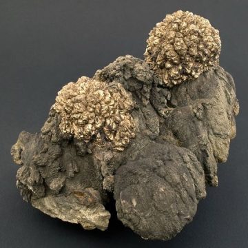 Un eșantion din marcasită, exponatul săptămânii la Mineralogie