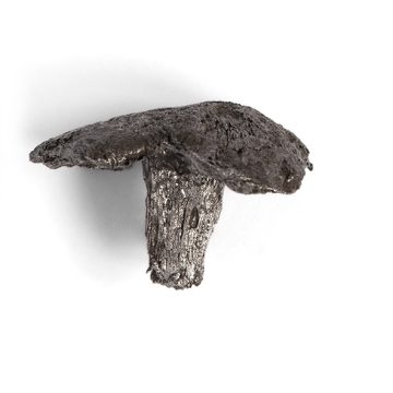 Exponatul săptămânii la Muzeul Județean de Istorie este un cui de construcție din castrul roman de la Coștiui