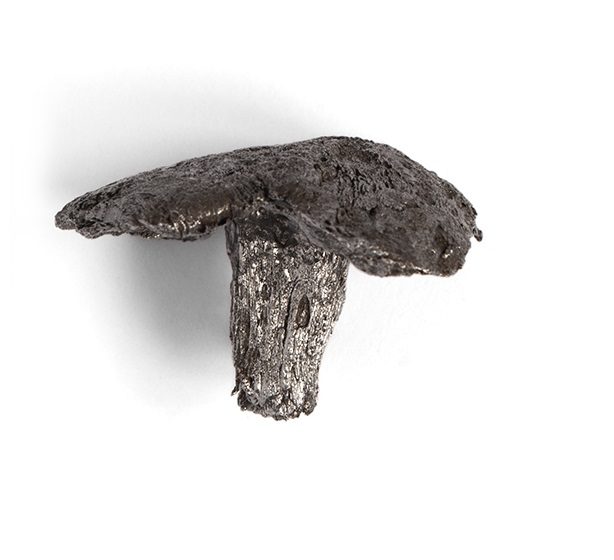 Exponatul săptămânii la Muzeul Județean de Istorie este un cui de construcție din castrul roman de la Coștiui Exponatul săptămânii la Muzeul Județean de Istorie este un cui de construcție din castrul roman de la Coștiui