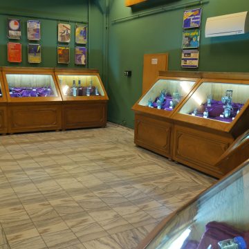 Video | O lună plină de evenimente la Muzeul Județean de Mineralogie ”Victor Gorduza” Baia Mare