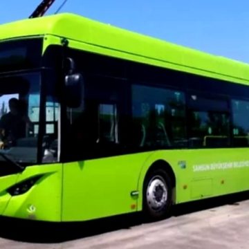 Autobuze electrice pentru Târgu Lăpuș Autobuze electrice pentru Târgu Lăpuș