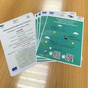 Băimărenii pot să doneze brazii de Crăciun în 6 puncte de colectare din Baia Mare Băimărenii pot să doneze brazii de Crăciun în 6 puncte de colectare din Baia Mare