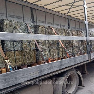Peste 47 de tone de deșeuri oprite să intre în țară Peste 47 de tone de deșeuri oprite să intre în țară