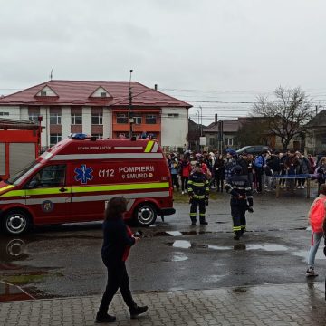 Salvatorii maramureșeni în instituțiile de învățământ din județ