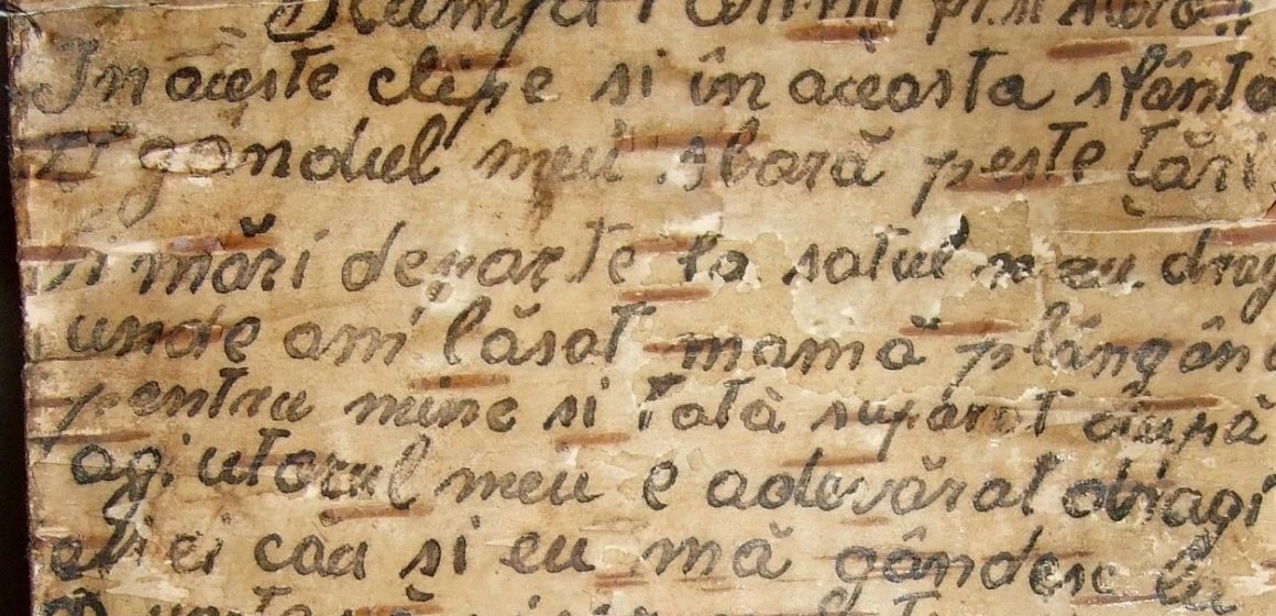 O scrisoare de pe front scrisă pe scoarță de mesteacăn – exponatul săptămânii la Muzeul de Istorie și Arheologie O scrisoare de pe front scrisă pe scoarță de mesteacăn – exponatul săptămânii la Muzeul de Istorie și Arheologie
